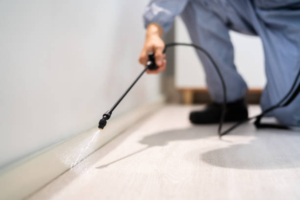 Licensed Termite Control service in Mineral Ridge, OH - Show Me Pest Control